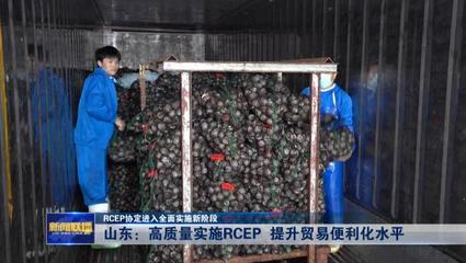 RCEP協(xié)定進(jìn)入全面實(shí)施新階段——山東高質(zhì)量實(shí)施RCEP提升貿(mào)易便利化水平，推動(dòng)貨物進(jìn)出口發(fā)展